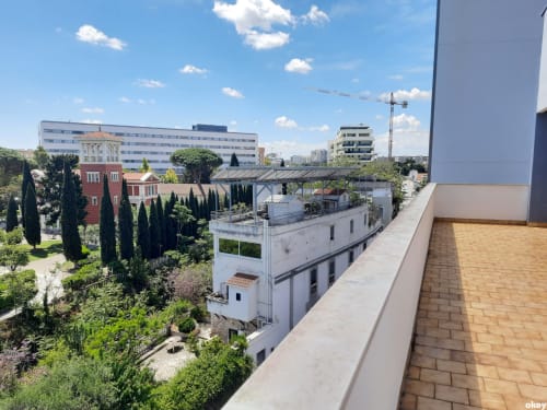 Terrazza soleggiata del B&B Bari Centro con vista su affascinanti edifici rossi storici, cipressi e lo skyline di Bari, Italia