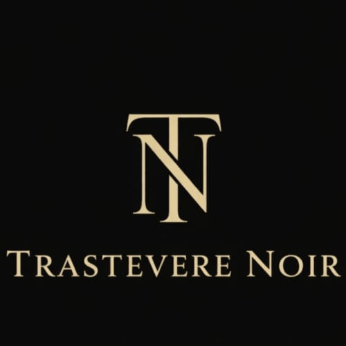 Logo Trastevere Noir con monogramma TN in oro su sfondo nero, branding bed and breakfast a Roma