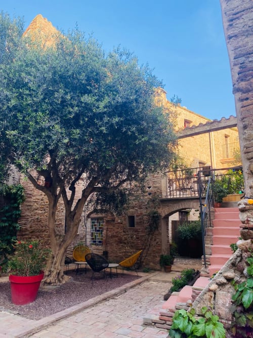 Cour paisible de La Vieille Demeure à Torreilles avec oliviers centenaires, bâtisses en pierre et marches en terre cuite