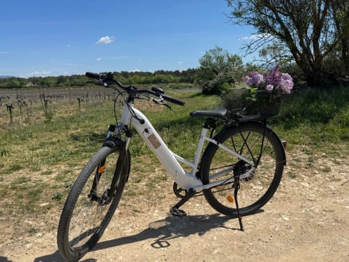 Vélo électrique fleuri garé sur un sentier rural près de Roussillon, vignobles de Provence et paysage champêtre