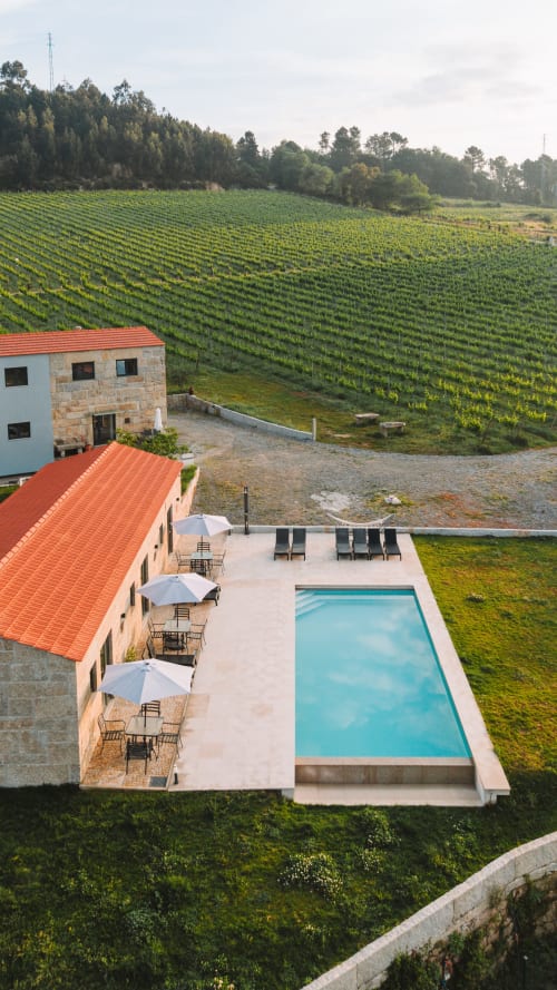 Canhoto Douro à beira da piscina com vistas para as vinhas em São Lourenço do Douro, Portugal