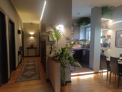 Corridoio moderno con pavimenti in legno e piante in vaso che conducono alla zona pranzo della camera La Palma Nera dell'hotel Trastevere Noir Roma