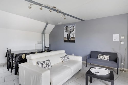 Séjour moderne du gîte Le Petit Villeneuve à Saint-Georges-sur-Cher avec canapé blanc, fauteuil mauve et éléphant