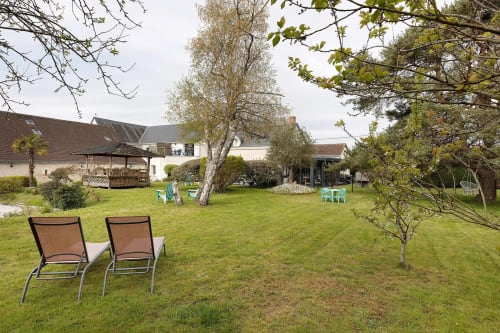 Vaste pelouse du gîte Le Petit Villeneuve à Saint-Georges-sur-Cher avec transats et bouleaux