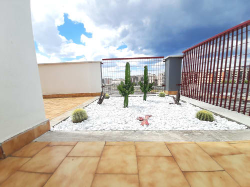 Terrazza moderna sul tetto con giardino desertico, ghiaia bianca, cactus e vista sulla città dell'hotel Bari