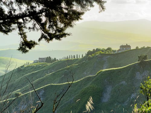 Tuscan countryside landscape with rolling green hills, cypress trees, and stone villa in Lajatico