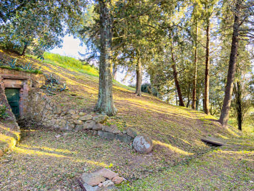 Tuscan forest clearing with stone cottage, tall trees, and sloped grounds at Tuscan Sun Stays in Lajatico, Italy
