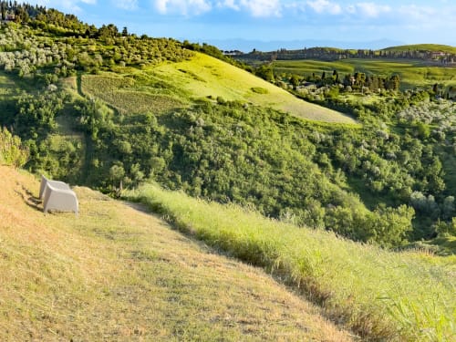Rolling green Tuscan hills with olive groves and a white tent at Tuscan Sun Stays apartment in Lajatico