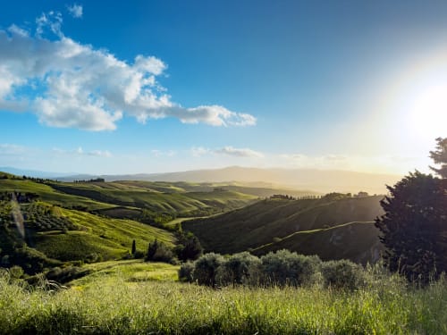 Rolling green hills and cypress trees in Tuscany near Lajatico, Italy with distant mountains under blue sky