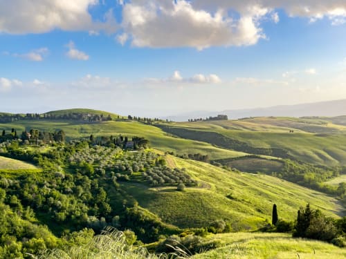 Rolling green hills of Tuscany near Lajatico with cypress trees and stone buildings dotting the landscape