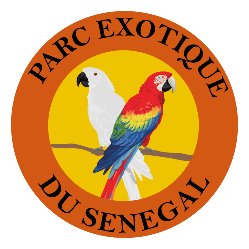 Logo du Parc Exotique du Sénégal avec perroquets colorés pour l'Hôtel Du Parc à Somone