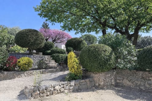 Jardin méditerranéen luxuriant de la villa Le Mas Bello Visto avec topiaires taillés, murs en pierre, arbres en fleur et gravier