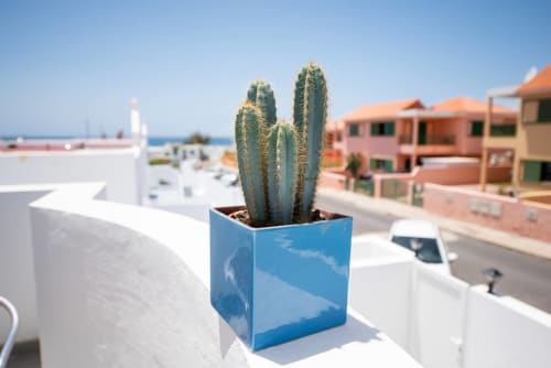 Cactus verde alto en maceta azul en balcón blanco con vistas a Tarajalejo, Fuerteventura, mar y apartamentos coloridos