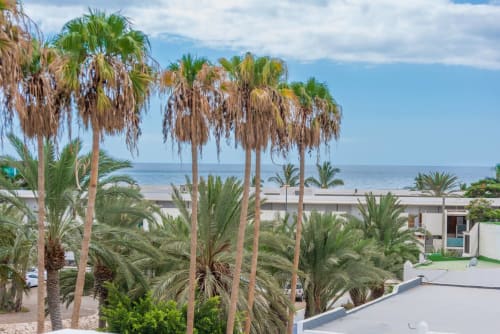 Vista al mar desde el balcón del apartamento Casa Sol con palmeras y playa de Tarajalejo, Fuerteventura