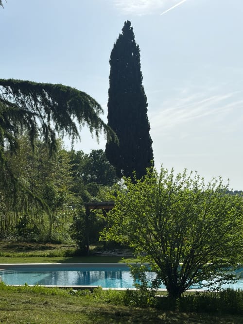 Cyprès se reflétant dans la piscine du gîte Le Domaine les Olivoux à Pomport, France