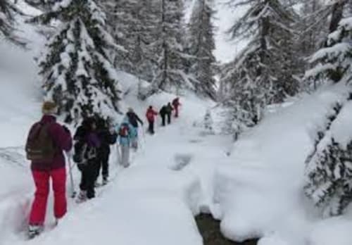 Groupe d'hôtes en raquettes à travers la forêt enneigée du Chalet des Cimes, Belle Plagne