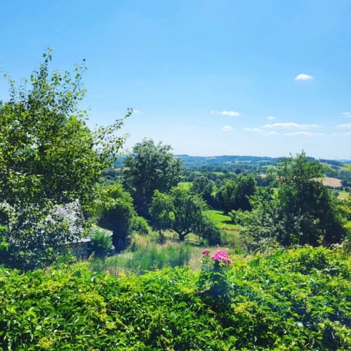 Vallée verdoyante avec fleurs en fleurs au Mas de Rigoulac, Argences-en-Aubrac