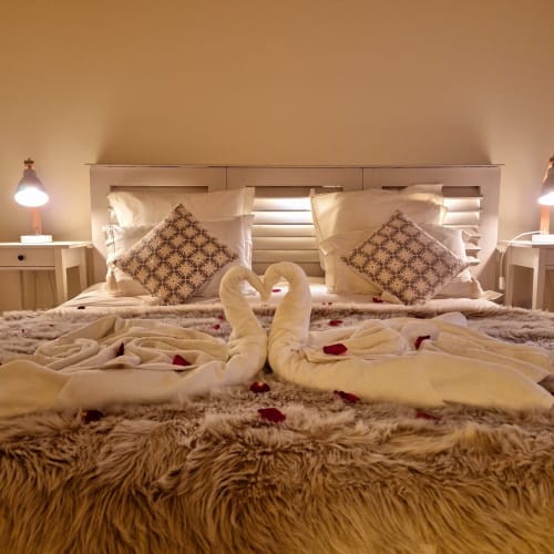 Chambre romantique décorée de cygnes en serviette et pétales de rose à Le Mas De Rigoulac, chambre Cocon