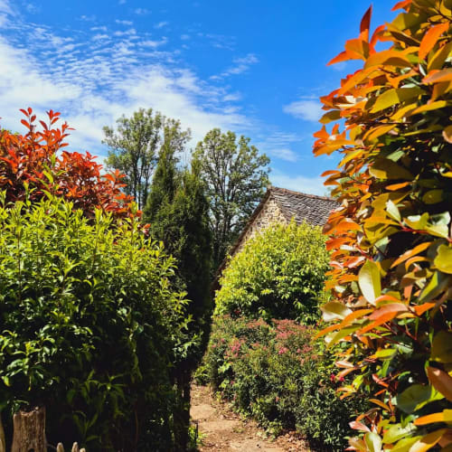 Cottage en pierre avec jardin au Mas De Rigoulac, entouré d'arbustes fleuris et de feuillages d'automne à Argences-en-Aubrac