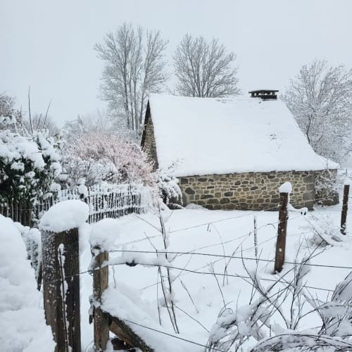 Gîte Le Four en hiver à Argences-en-Aubrac : maison en pierre, arbres givrés et vue sur le jardin