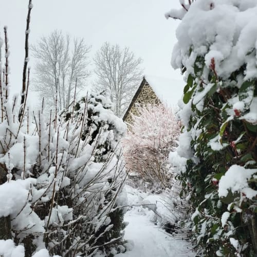 Jardin enneigé du gîte Le Mas De Rigoulac à Argences-en-Aubrac, avec maison en pierre et végétation hivernale
