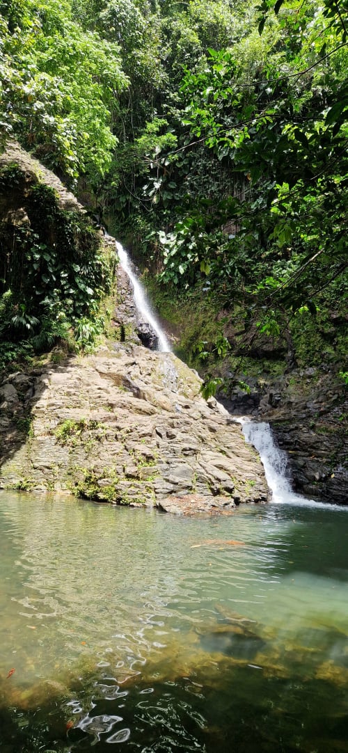 Cascade tombant dans un bassin turquoise entouré de jungle luxuriante au Nid De Bellemont, Trois-Rivières
