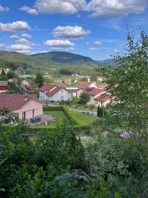 Vue pittoresque du village du Chalet le Grizzli au Tholy avec les montagnes des Vosges, maisons aux toits rouges, jardins verdoyants et ciel bleu