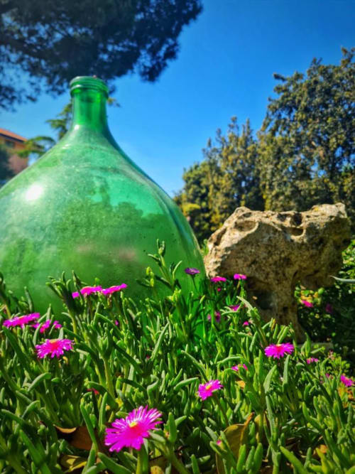 Bottiglia di vetro verde circondato da vivaci fiori rosa presso l'Agriturismo Villa Ribes, Altamura