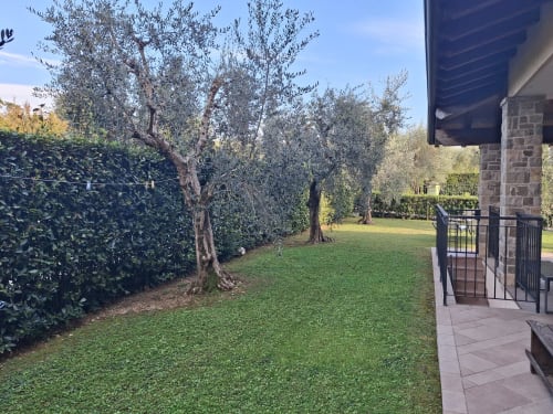 Giardino curato dell'Hotel Prince Garda a Serniga con ulivi centenari, prato rigoglioso e terrazza in pietra