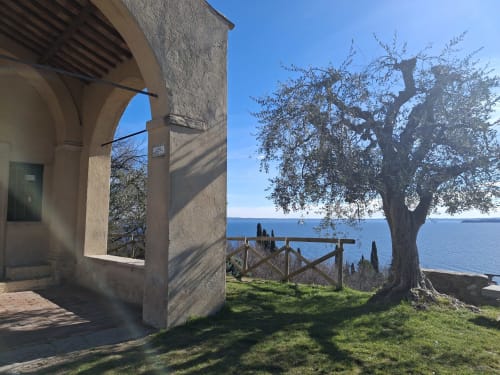 Terrazza dell'hotel Prince Garda con vista sul lago, antico ulivo e architettura mediterranea a Serniga