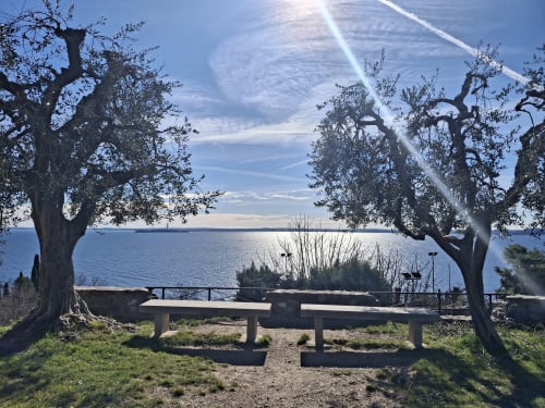 Area picnic con panchine in pietra circondate da antichi ulivi con vista sul Lago di Garda presso Prince Garda hotel, Serniga