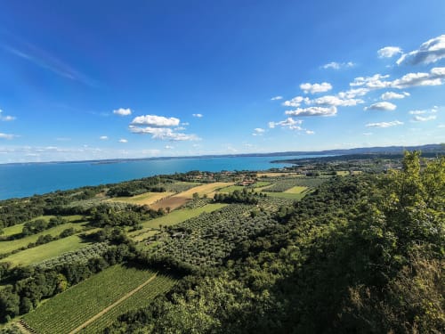 Panorama suggestivo del Lago di Garda con campi coltivati e vigneti visti dall'hotel Prince Garda a Serniga