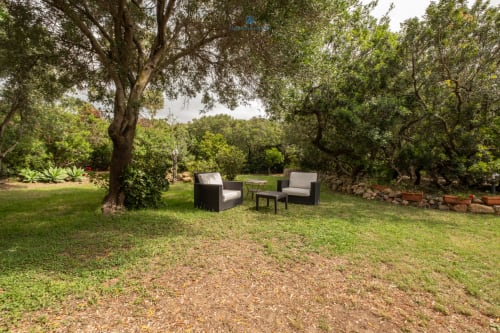 Area salotto ombreggiata a Villa Chia a Quartu Sant'Elena con sdraio sotto alberi maestosi
