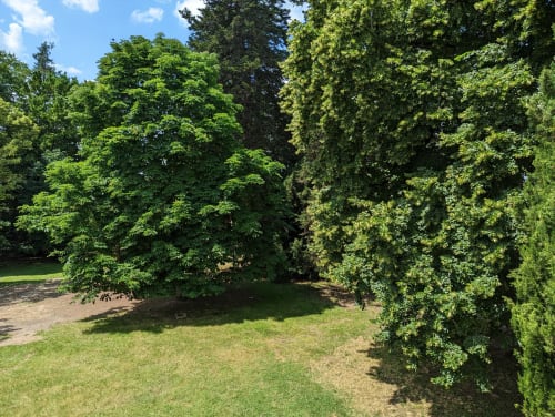 Parc verdoyant du Domaine du Faure à Chadurie avec arbres matures et pelouse soignée, vue du jardin pour Gîte Le Chêne