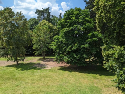 Jardin verdoyant du Domaine du Faure à Chadurie avec arbres matures et pelouse impeccable sous un ciel bleu