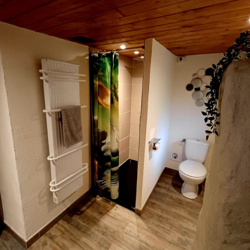 Salle de bain moderne avec douche, toilettes, sèche-serviettes chauffant et plantes décoratives aux Gîtes Du Couvent en Ardèche