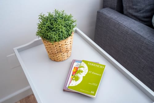 Mesita blanca en apartamento de Nerja con planta en maceta y libros en español junto a sofá gris