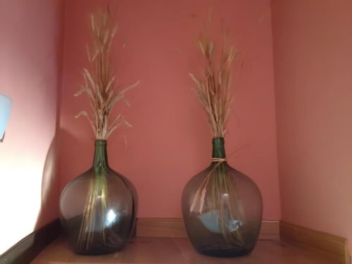 Dos jarrones de cristal oscuro con hierba de la Pampa seca en pared rosa de la habitación La Viña 1 en Casas Rurales La Viña
