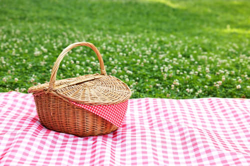 Cesto da picnic con tovaglia a quadri rosa su prato verde presso Fattoria dei Pupi, Aci Castello