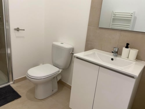 Modern bathroom at Résidence Marina di Bravone with white toilet, sink vanity, and shower in Linguizzetta