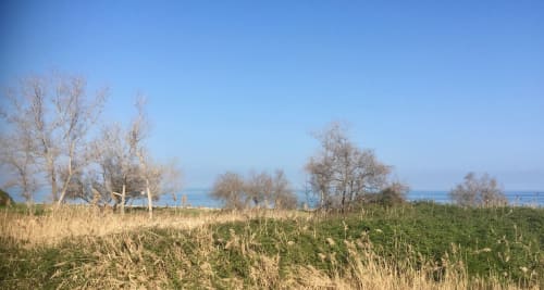 Arbres dénudés et roseaux dominant la mer bleue à la Résidence Marina di Bravone, Linguizzetta