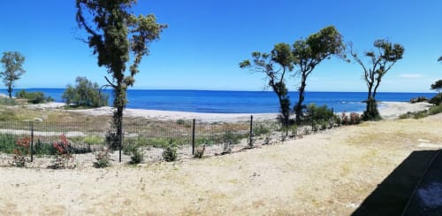 Terrazza fronte mare di Marina di Bravone con spiaggia, Mar Mediterraneo blu, sabbia fine e alberi costieri a Linguizzetta