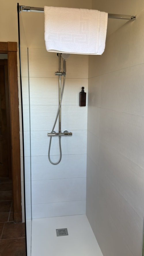 Modern walk-in shower with white towel rack at Apartamentos Rurales El Picoretu in Mestas de Con