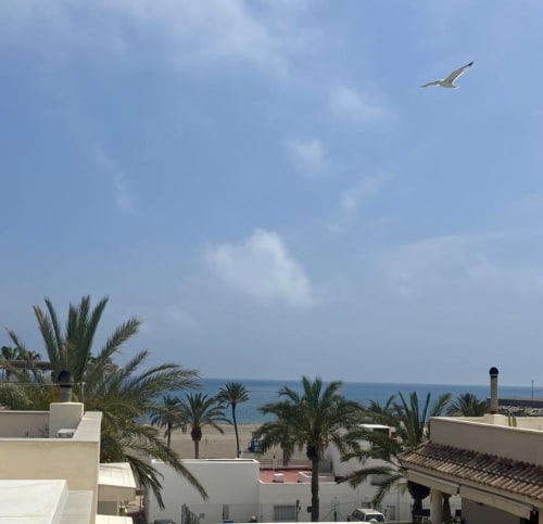 Vista de la terraza de La Llar en Carboneras con palmeras, playa y mar Mediterráneo bajo cielo azul