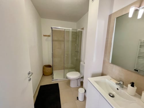 Modern bathroom at Résidence Marina di Bravone with shower enclosure, sink, and toilet in Linguizzetta