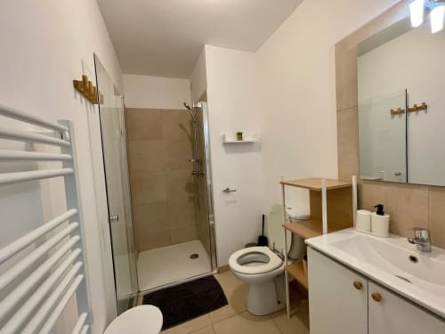 Modern bathroom at Résidence Marina di Bravone hotel in Linguizzetta with shower, toilet, sink, and wooden storage shelving.