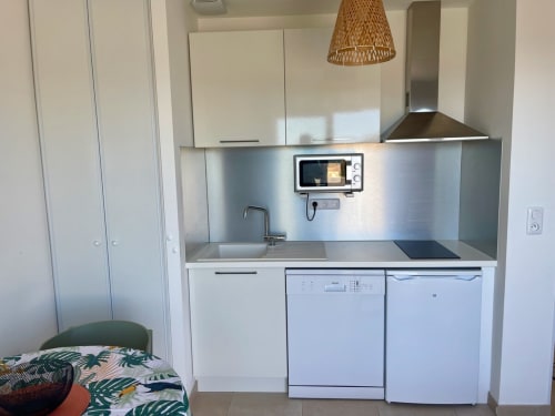 Angolo cottura moderno con elettrodomestici in acciaio inox presso l'appartamento Résidence Marina di Bravone a Linguizzetta, Corsica