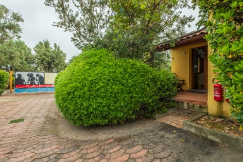 Lussureggiante siepe verde e ingresso in giallo della struttura ricettiva House Live Express a Quartu Sant'elena, Sardegna