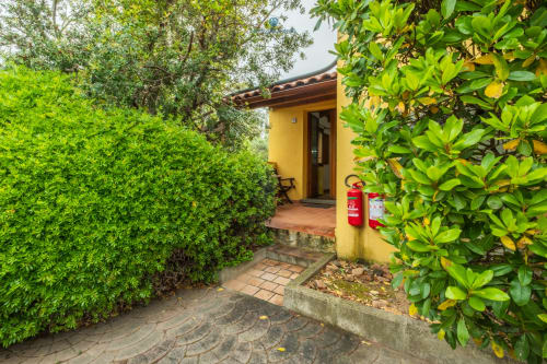 Ingresso di cottage giallo circondato da siepi verdi e piante tropicali presso House Live Express a Quartu Sant'elena, Sardegna