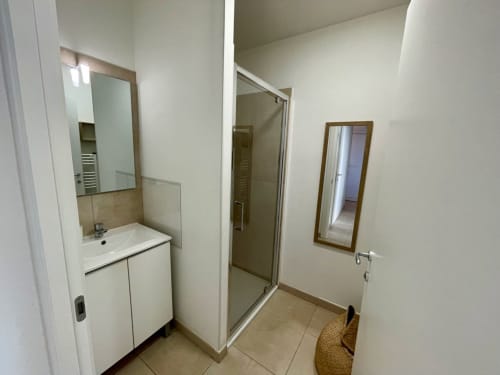 Modern bathroom at Résidence Marina di Bravone hotel in Linguizzetta with sink, shower, and mirror